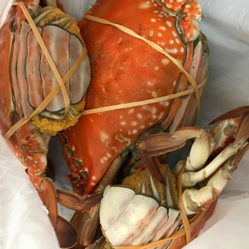 繧ｮ繝輔ヨ縺ｮ蜩・ｼ遏ｳ蟾ｻ