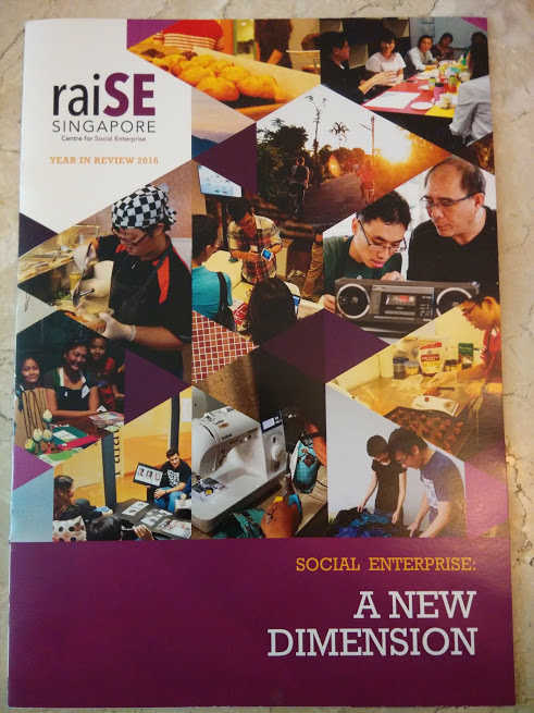 raiSEの年次報告書(2016):成果や今後のチャレンジが記載。