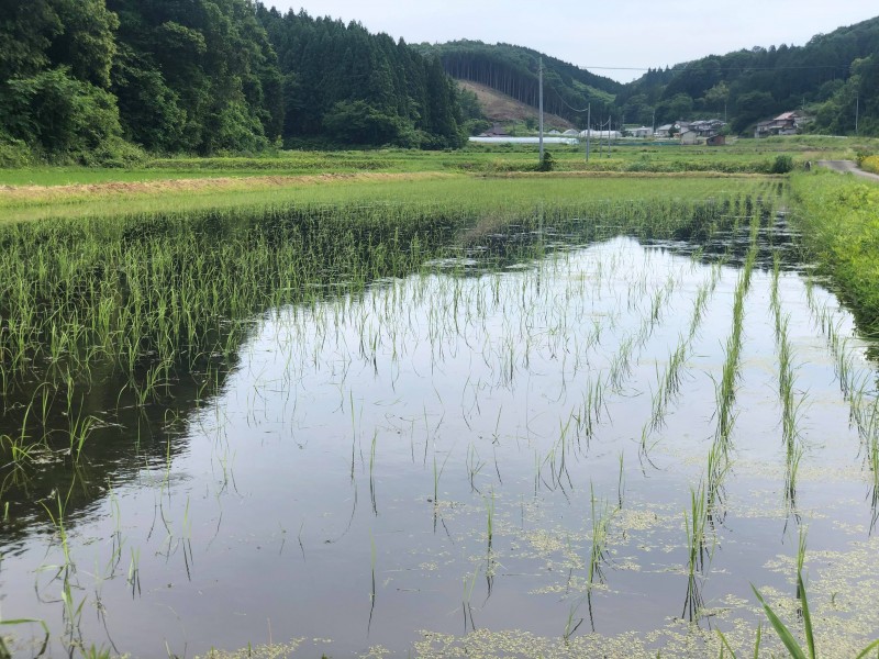 117222784_1977510655716868_763153881607977973_n