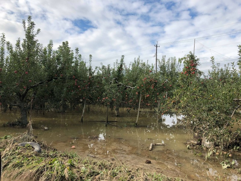 117444607_1565597930268123_52279878182319564_n