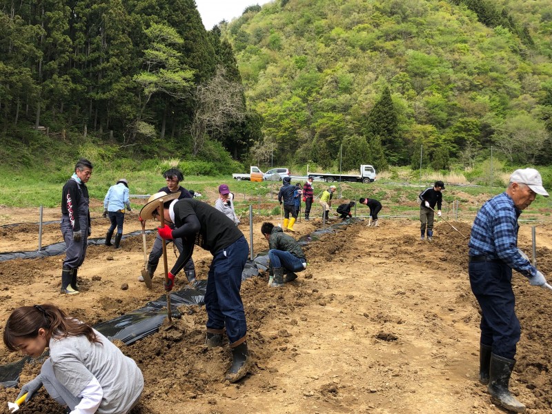 3_ホップ栽培作業中