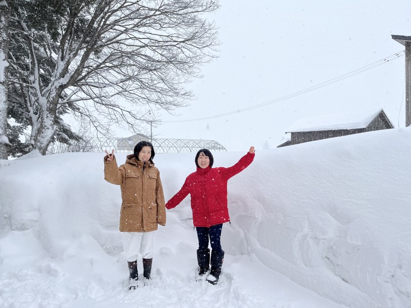 2.髢「菫り・・逵・譛晏ュ舌&繧薙→