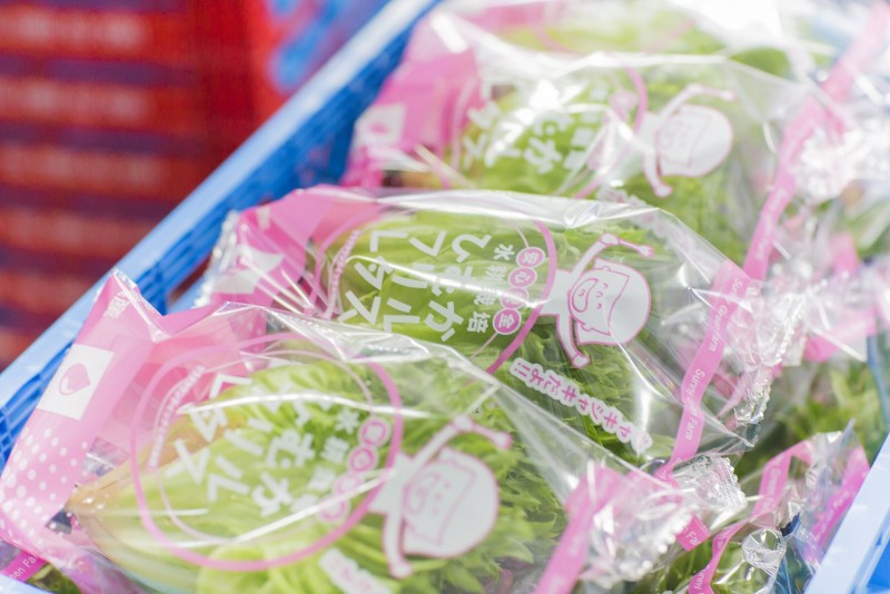 4種類のレタスを広く西日本に出荷しています