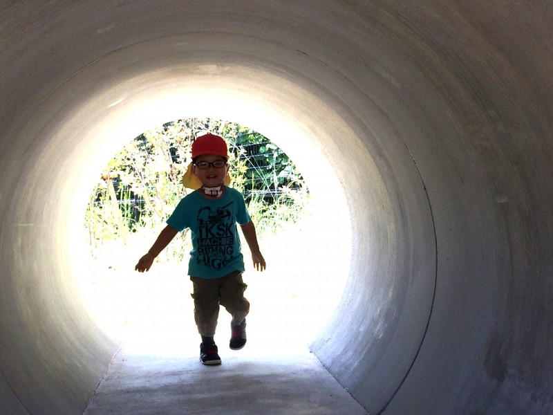 保育写真？(差し込み)トリミング後