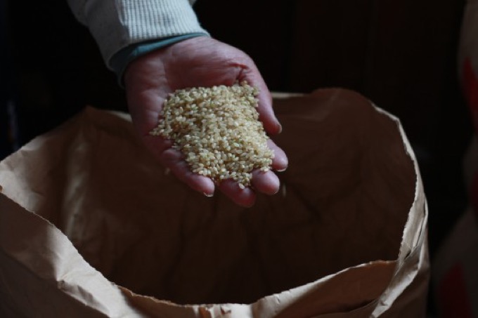 『飯塚商店』店主のこだわりが詰まったお米