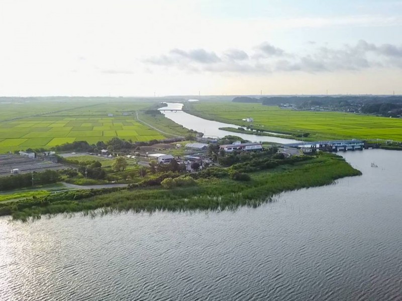 21100343_1332330680198860_174643518_n