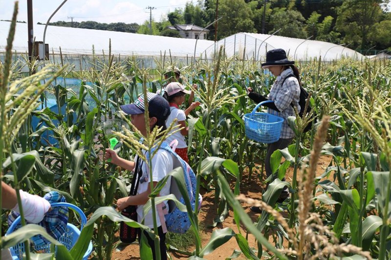 21100536_1332318336866761_393356448_n