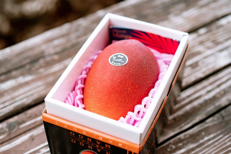 日南産のマンゴー