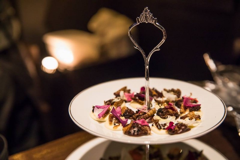 こんなおしゃれな昆虫食も!