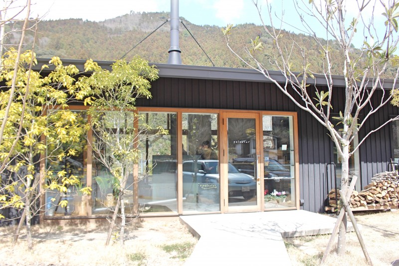 ポールスター１