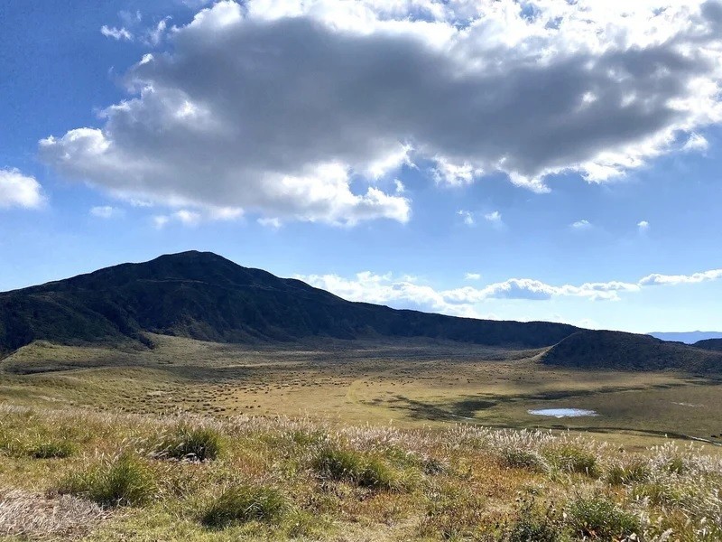 note「共同代表就任」より(南阿蘇)