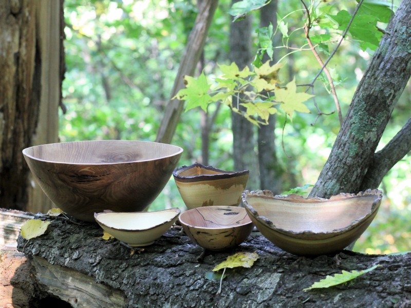 45548046_570948716685805_4660452567459823616_n