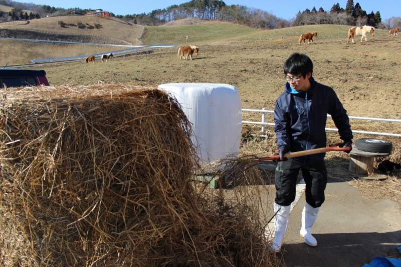13仕事中の狐塚さん