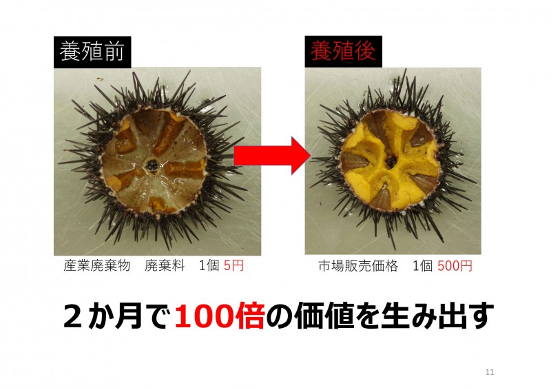 LLMピッチ資料_眞下美紀子_20230708-11