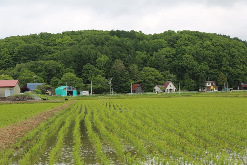 この田園風景も、かつて開拓者たちが森を拓き、長い月日をかけて作り出したもの。