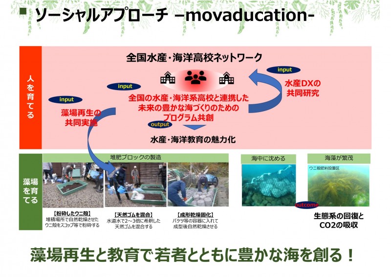 LLMピッチ資料_眞下美紀子_20230708-13
