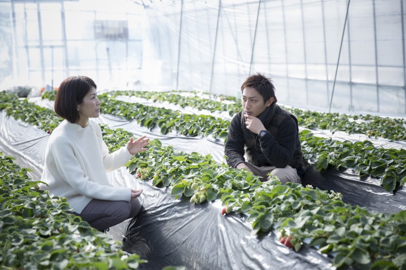 9_おいしいいちごを作る農家さんが報われる仕組み作りを目指す