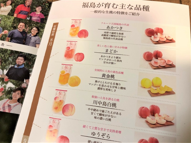 08ラインナップ