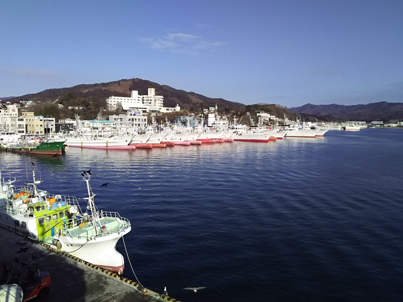 日本で13しかない特定第三種漁港、気仙沼港。