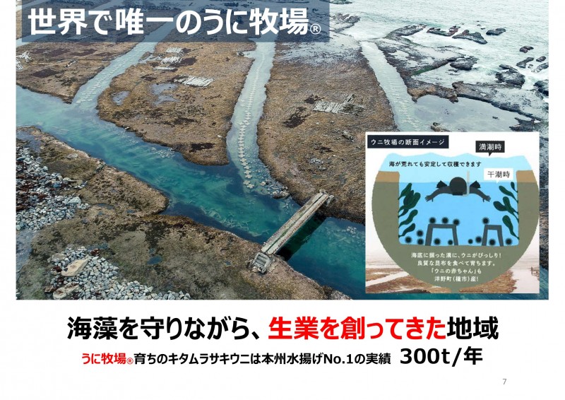 LLMピッチ資料_眞下美紀子_20230708-7