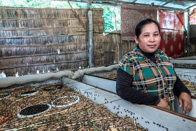 コオロギ農家写真1