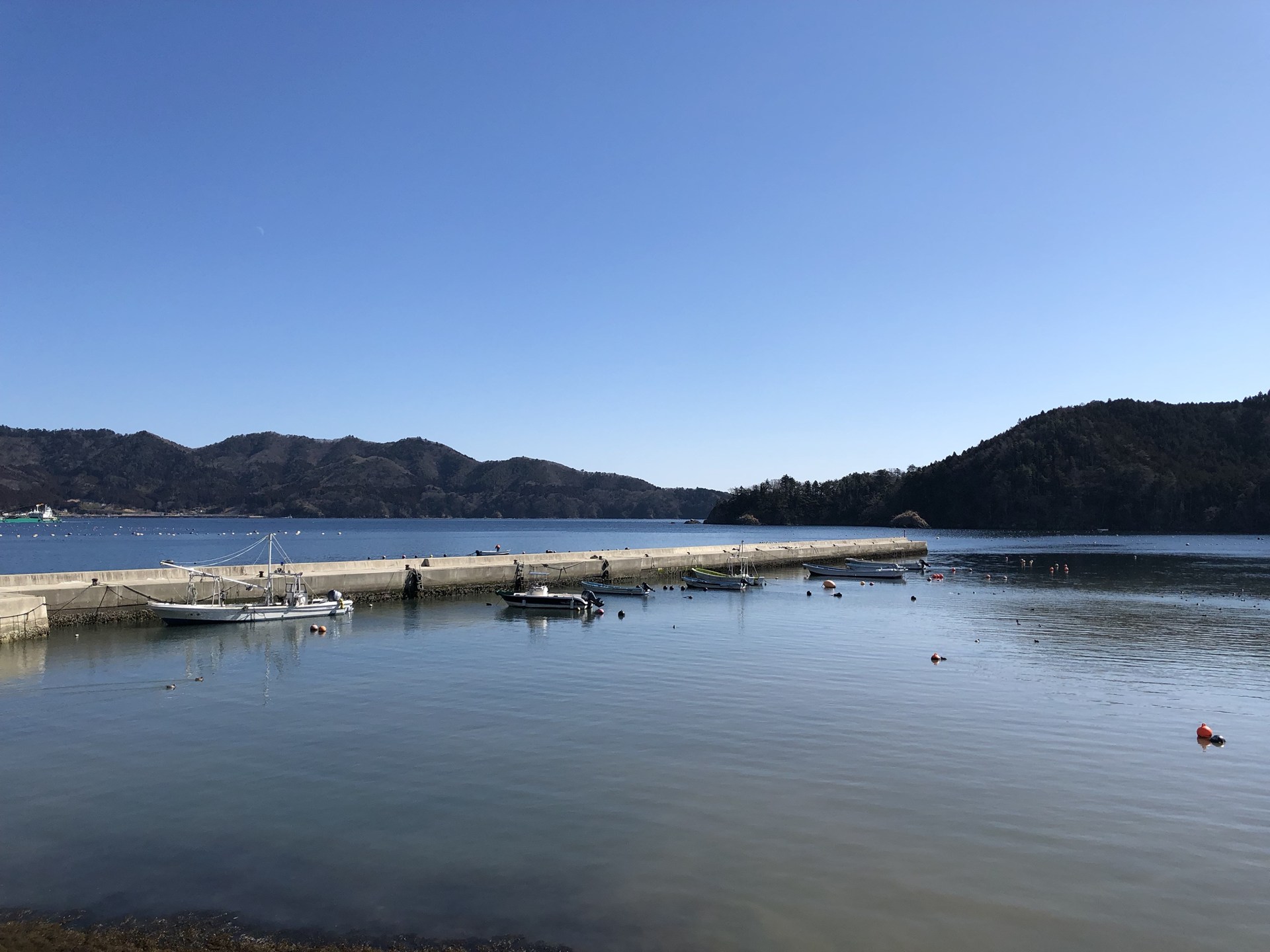 穏やかな雄勝の入り江