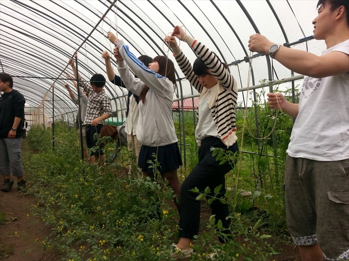 地域での体験の様子