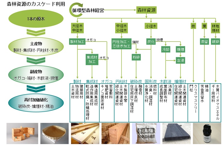 木1本を余すところなく使う下川町の森林資源のカスケード利用を示した図。
