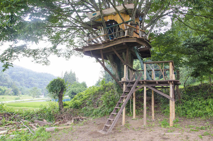 ツリーハウス