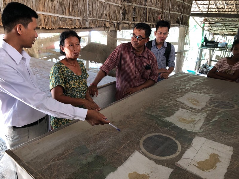 コオロギ農家写真4