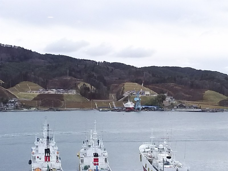 リアス海岸は入り江ごとに大小38もの港があり、集落のカラーもそれぞれだ。高台移転は集落ごと、自分の港が見える場所で進んでいる。最大の気仙沼湾の東岸中腹でも、高台移転と公営住宅の建設が進む。