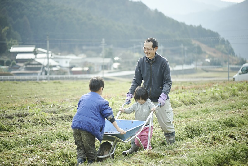 収穫体験の様子