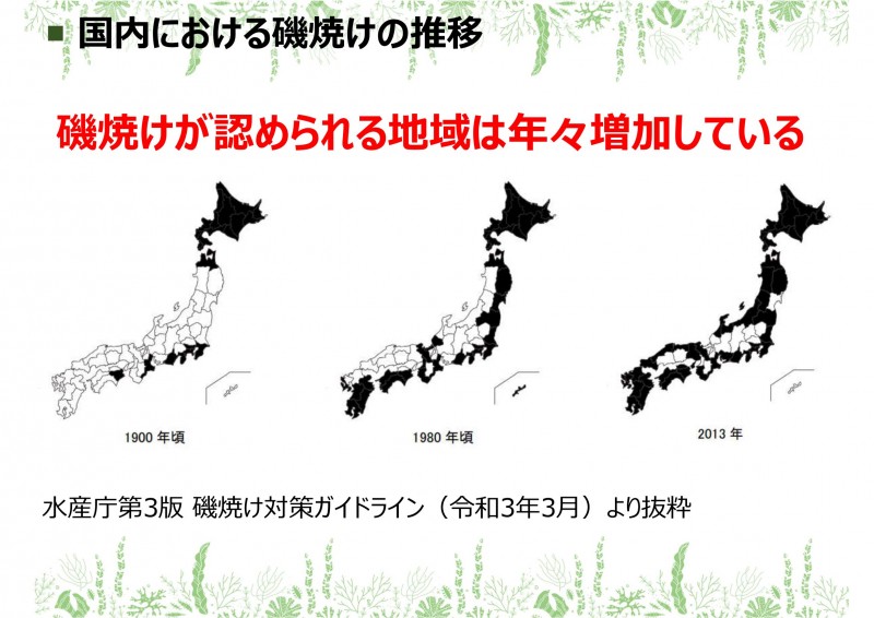 LLMピッチ資料_眞下美紀子_20230708-4