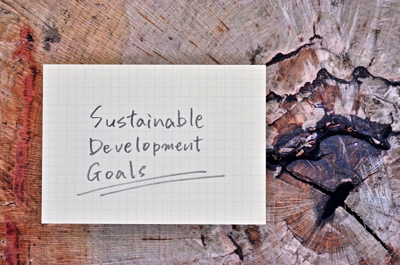There is a piece of paper with the word "Sustainable Development Goals" on wood stump.