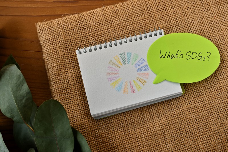 There are eucalyptus leaves and a burlap bag on a wooden table. On top of it is a sketchbook with an illustration of the earth and a speech bubble-shaped sticky note that has "What's SDGs" written on