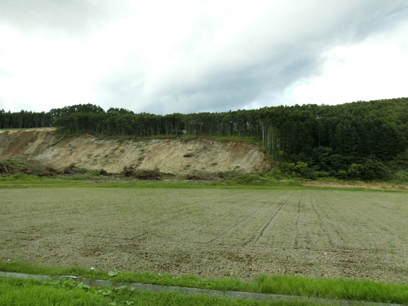 取材は震災から1年を目前にした9月1日のこと。住宅のないエリアではまだ生々しい爪痕が残っていました