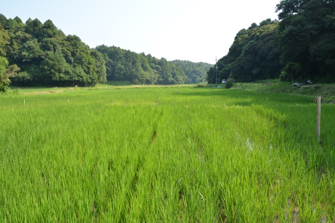 SOSA project田園風景