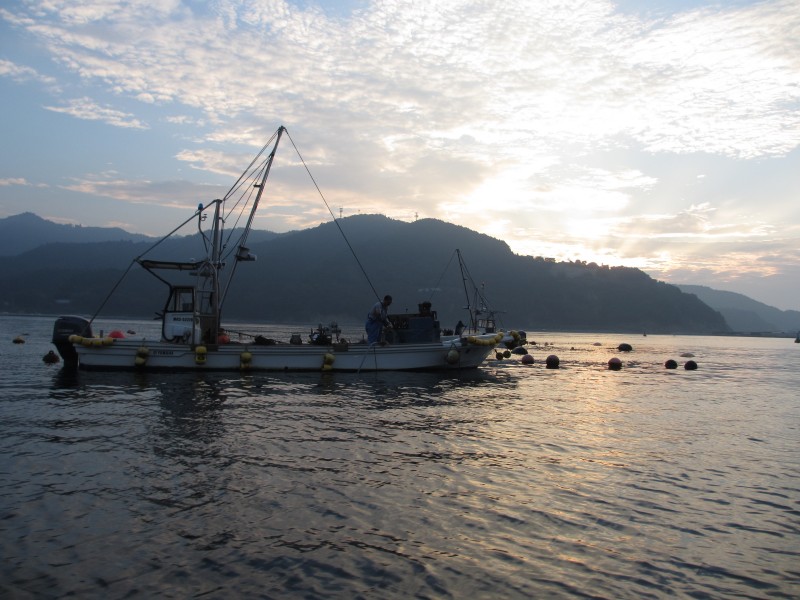 女川の美しい海