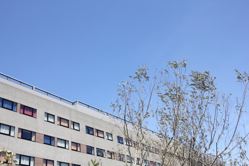 晴天に恵まれた当日