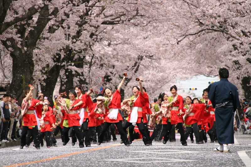 以前は多くの人で賑わっていたが、今は避難指示区域となり立ち入りが規制されている(富岡町夜の森)。