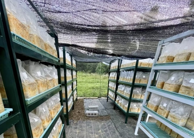 LINE_ALBUM_2021916_220913_1 (1)