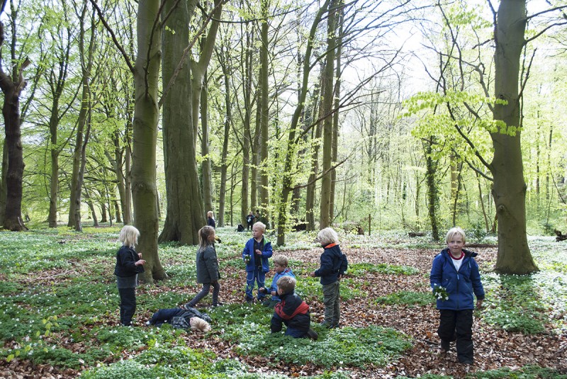 デンマーク発祥の森のようちえん。子どもたちは自由に森のなかで過ごす。(矢野さん提供)
