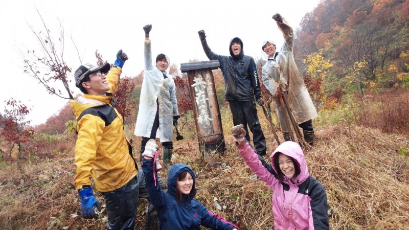 ブナ林の手入れのあと