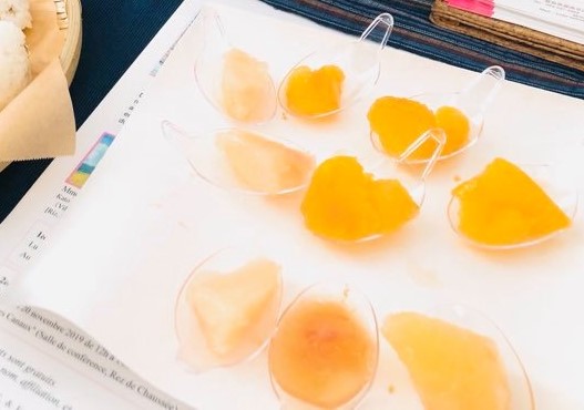 09試食会でのももふる