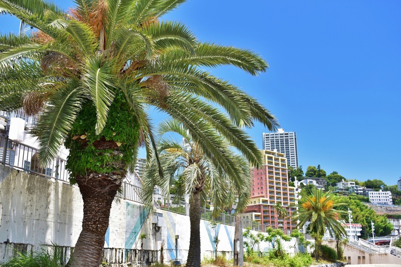 熱海マンション