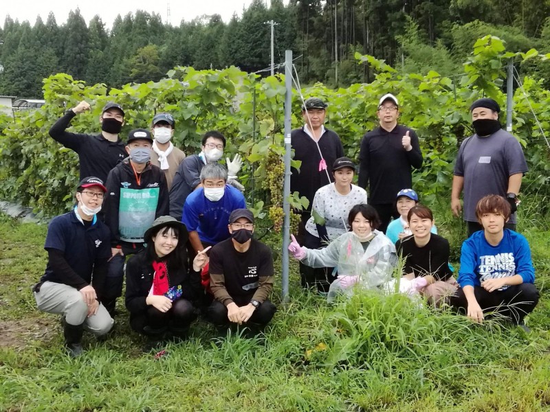 3ブドウの木剪定(市HPより)