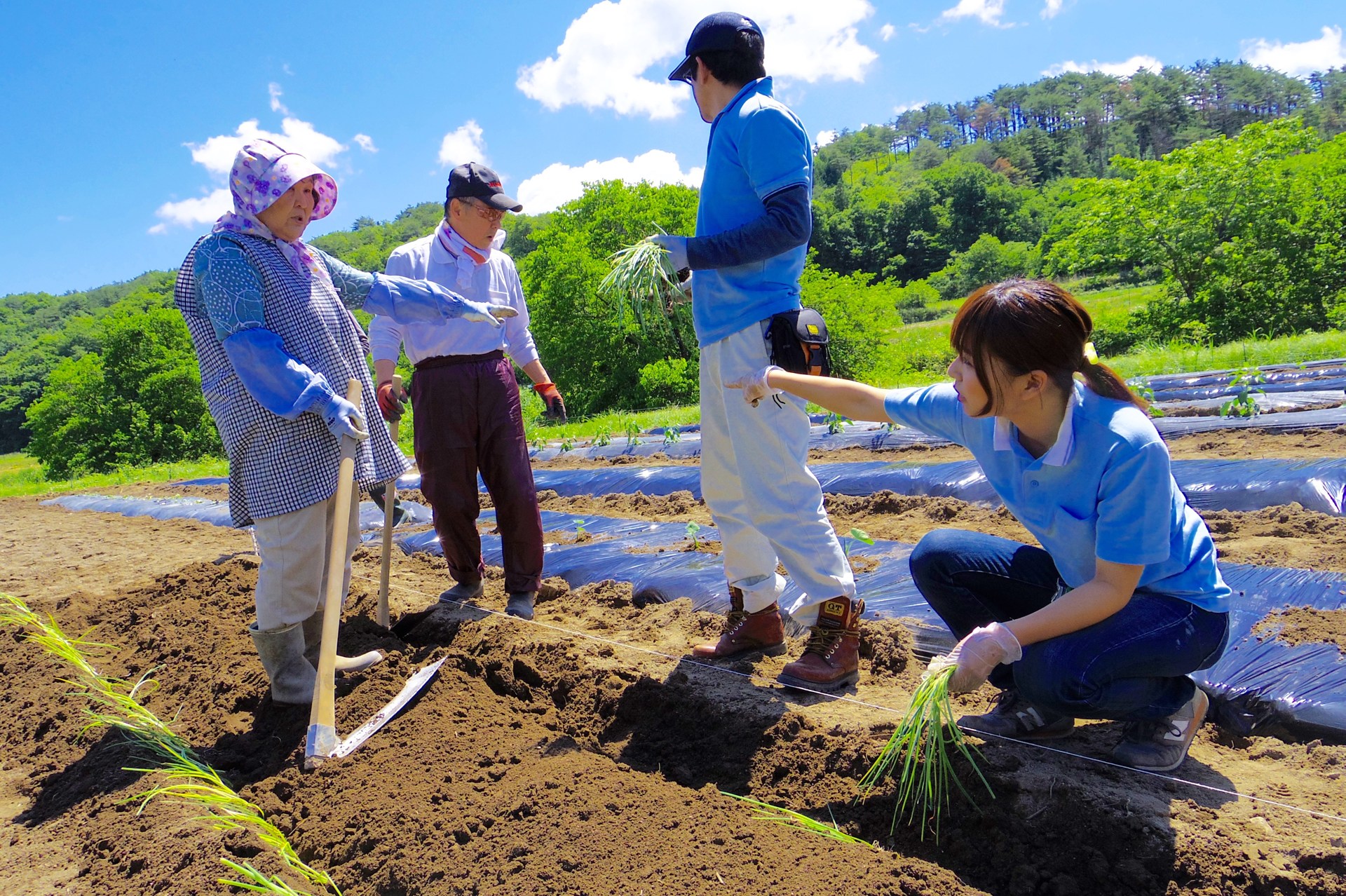 田村市復興応援隊の活動写真_住民・応援隊協働農園での作業中の様子