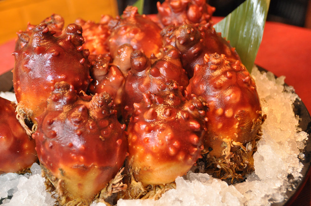 ホヤにも多くの可能性が秘められている。（写真提供：海遊）