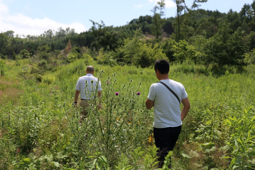東和地区でのフィールドワーク。土砂ですべてがリセットされた場所に、さまざまな植物が覆い繁っていた 