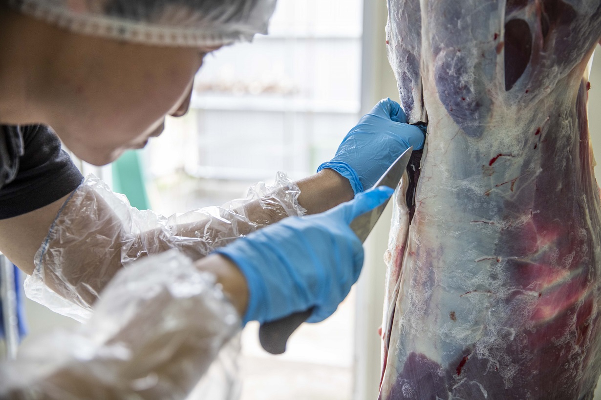 西粟倉村での鹿肉事業写真